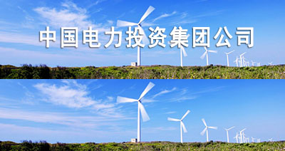 中国电力投资集团公司--合作伙伴